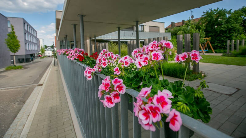 Quartier für Generationen: Auf einem Gehweg blühen in einem Blumenkasten an einem Geländer pink-weiß gefleckte Geranien.