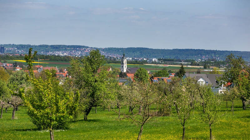 Neuhausen Blick von Nord nach Süd: Eine grüne Landschaft mit einer Wiese und Obstbäumen im Vordergrund, dahinter eine kleine Stadt mit einem Kirchturm und weiteren Häusern, unter einem leicht bewölkten Himmel.