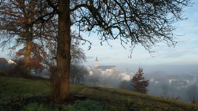 Eine neblige Landschaft mit Bäumen im Vordergrund und einer Kirche mit Turm sowie Gebäuden im Hintergrund.